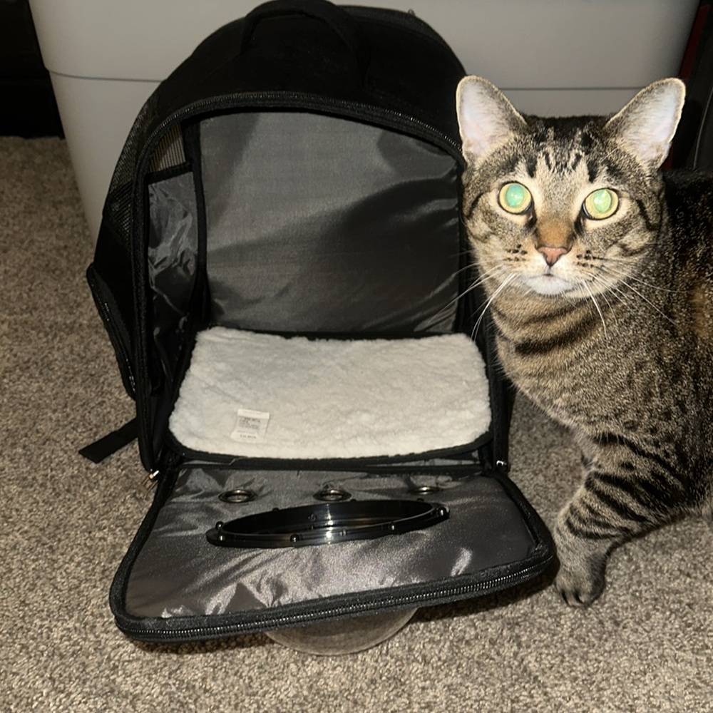 Backpack Pet carrier - Picture 2 of 8